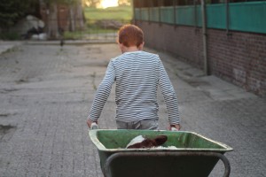 Column in vakblad Boerderij: Wees gewaarschuwd!