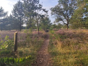 Reisverhaal op Reisreport: Verscholen in het glooiende landschap