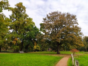 Reisverhaal op Reisreport: een prachtige wandeling rondom Oldenzaal