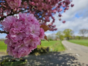 Reisverhaal op Reisreport: Op de fiets door het Twentse heuvelachtig landschap (33 km)