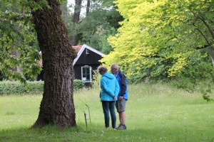 Het Arboretum Poort Bulten, een parkachtige omgeving op het platteland