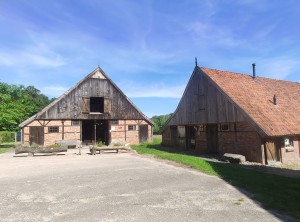 Twentse wandeling bij De Lutte: door heuvels, dalen en bronnen